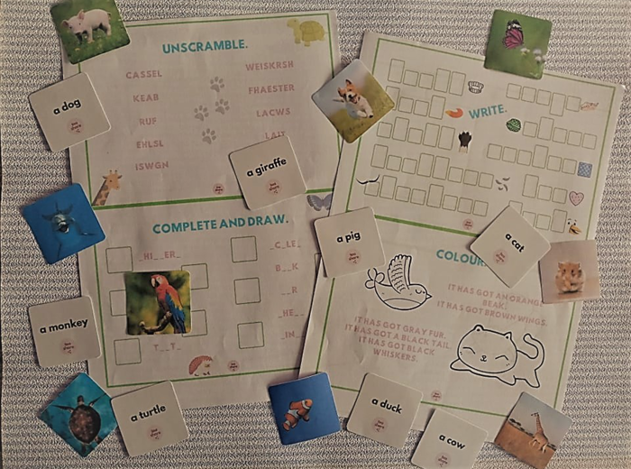 KLASA 3 zestaw ZWIERZĘTA + CZĘŚCI CIAŁA ZWIERZĄT + HAVE GOT