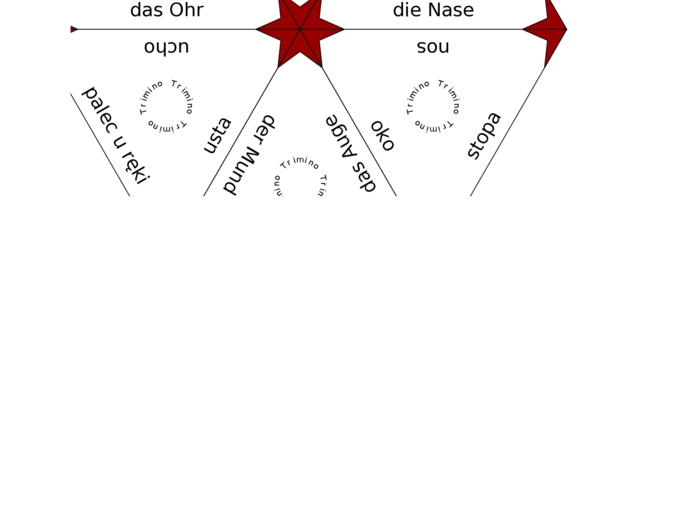 Trimino Körperteile
