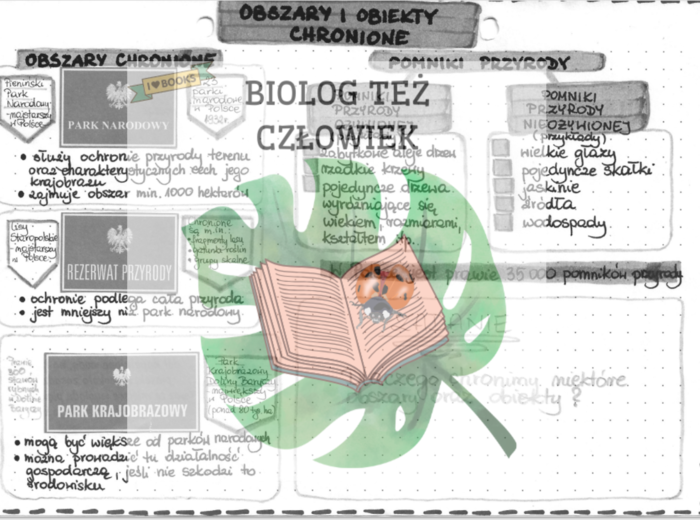 Obszary i obiekty chronione (parki, rezerwaty, pomniki przyrody) - szarość