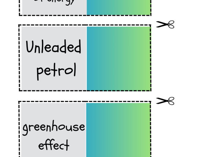 Gra dydaktyczna „Memory – ekologia”