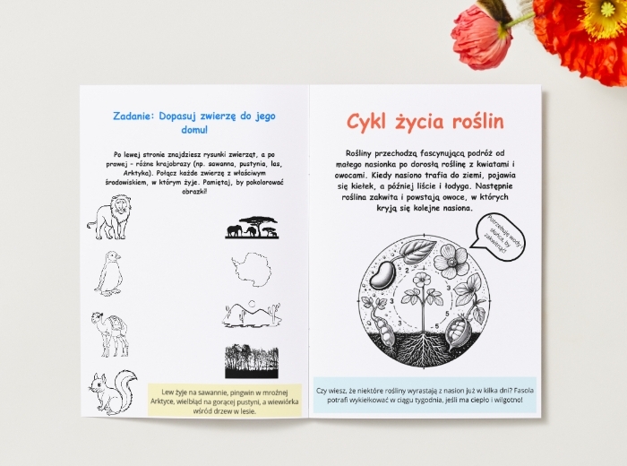 Zwierzęta. Cykl życia rośliny. Segregacja śmieci. Dbanie o przyrodę. KARTA PRACY
