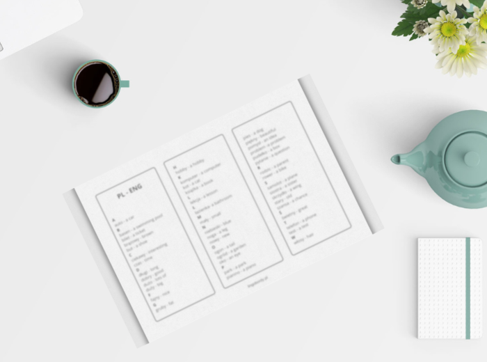 HAVE GOT 01 – TWIERDZENIA_pl