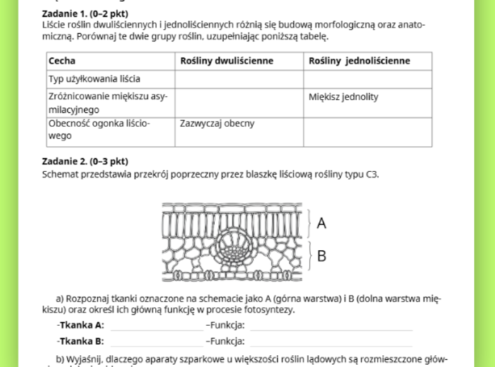 Budowa i funkcje liści ( karta pracy)
