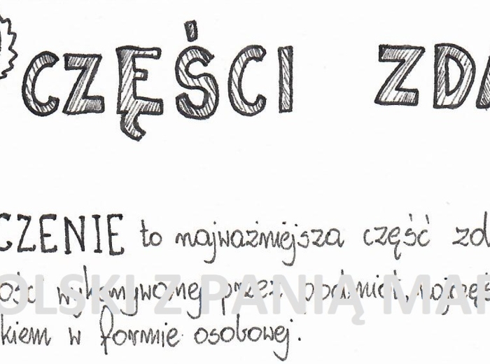rysnotka "CZĘŚCI ZDANIA"