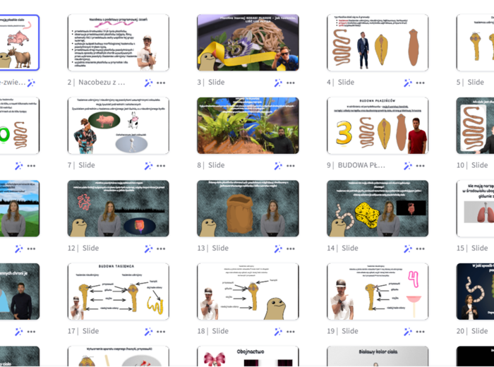 Prezentacja multimedialna w genial.ly „Płazińce-zwierzęta, które mają płaskie ciało” – do edycji i pobrania – biologia klasa VI, dział II – temat 2