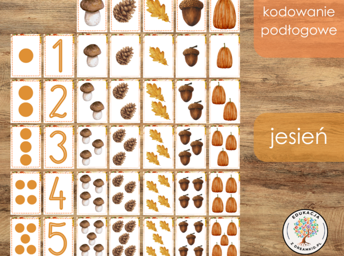 Kodowanie podłogowe - jesień