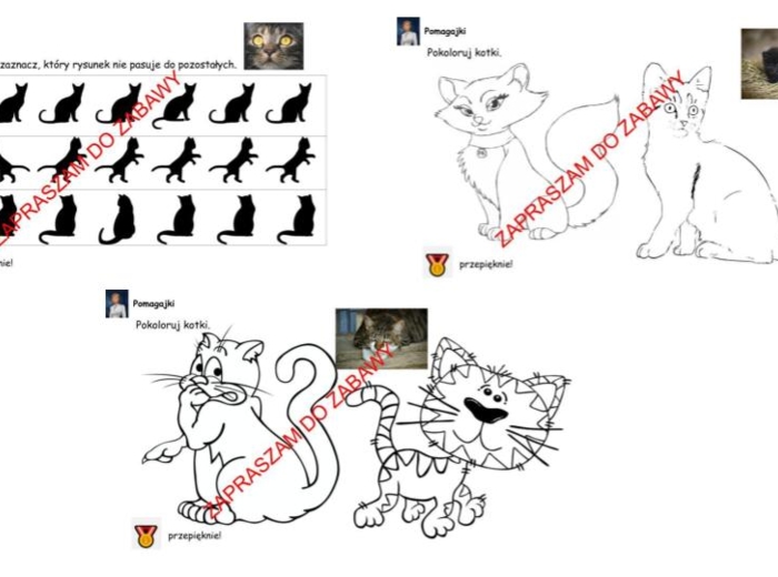 Zadanka na dzień kota