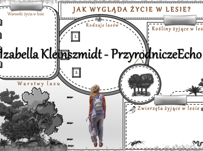 Karta pracy „Jak wygląda życie w lesie?” wykonana w power point do edycji. Przyroda 4, „Środowisko życia organizmów” na podstawie wydawnictwa WSiP