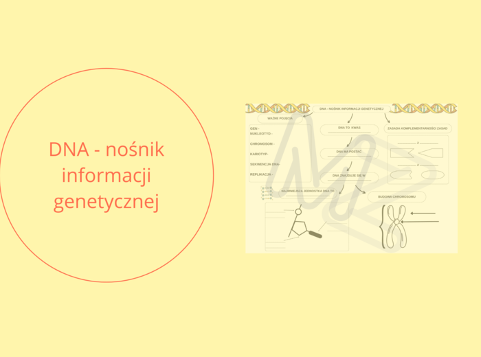 DNA - nośnik informacji genetycznej - KARTA PRACY