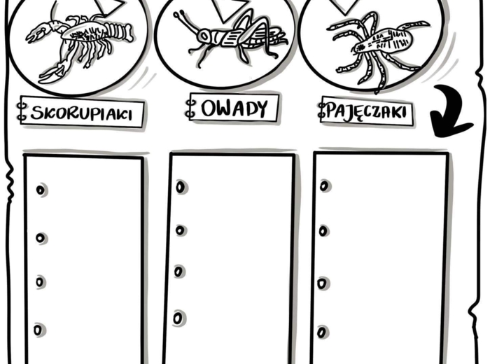 Klasa 6. BIologia. Karta pracy. Stawonogi (karta pracy do uzupełnienia)