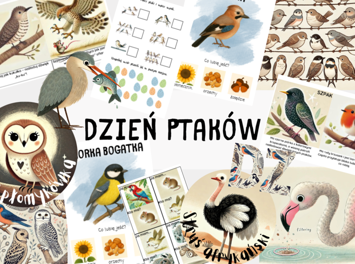 Dzień Ptaków