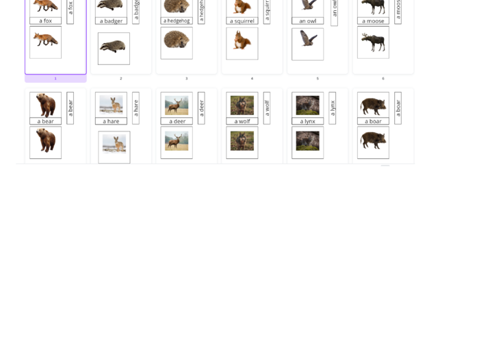 Montessori 3 part cards- forest animals