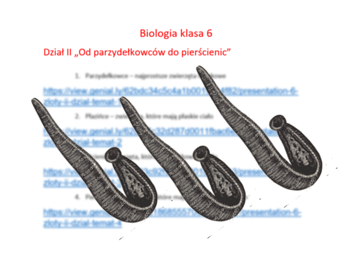 Zestaw prezentacji multimedialnych (4) w genial.ly z biologii do klasy VI. Dział II „Od parzydełkowców do pierścienic” – według wydawnictwa Nowa Era
