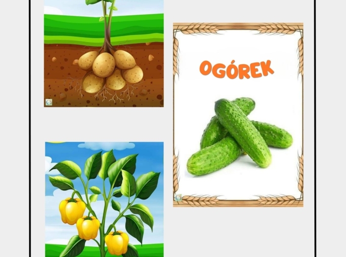 JESIENNE WARZYWA I OWOCE. PLANSZE I KOLOROWANKI.