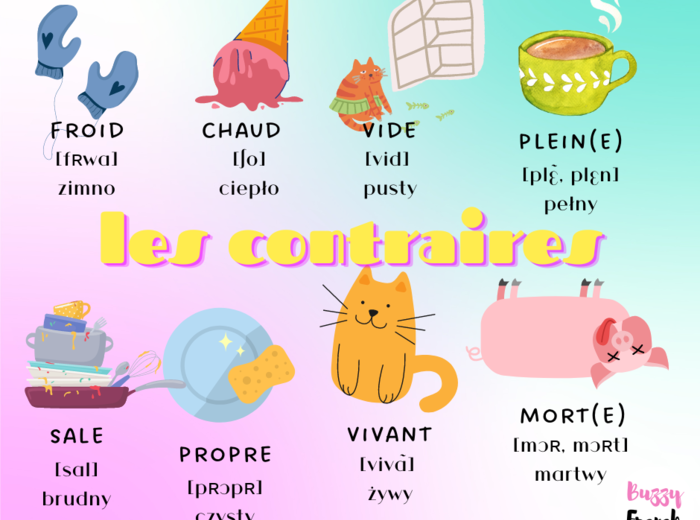 LES CONTRAIRES