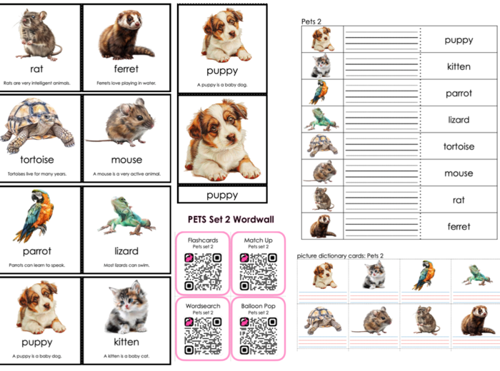 Materiały wzbogacające słownictwo: PETS SET 2