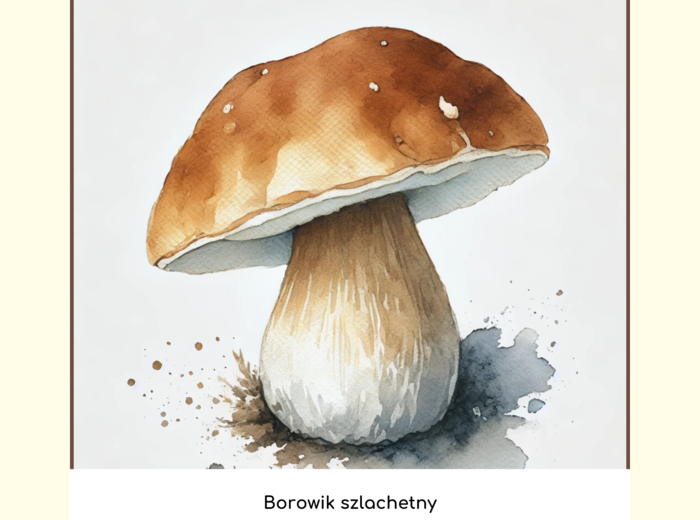 Ekologiczne memory (gra edukacyjna)