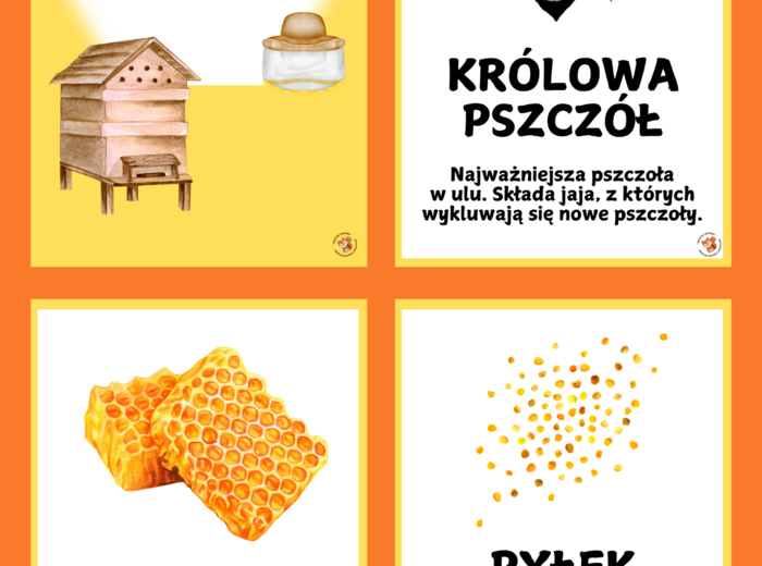 PSZCZOŁY🐝