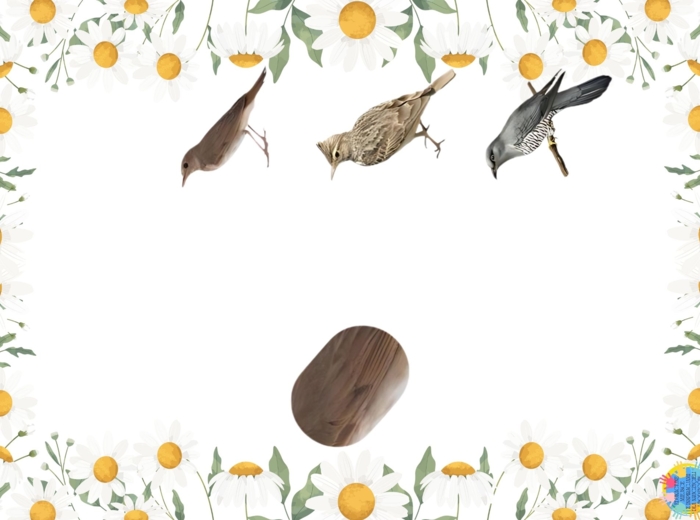 DZIEŃ PTAKÓW - EDUKACYJNA PRZYGODA DLA DZIECI