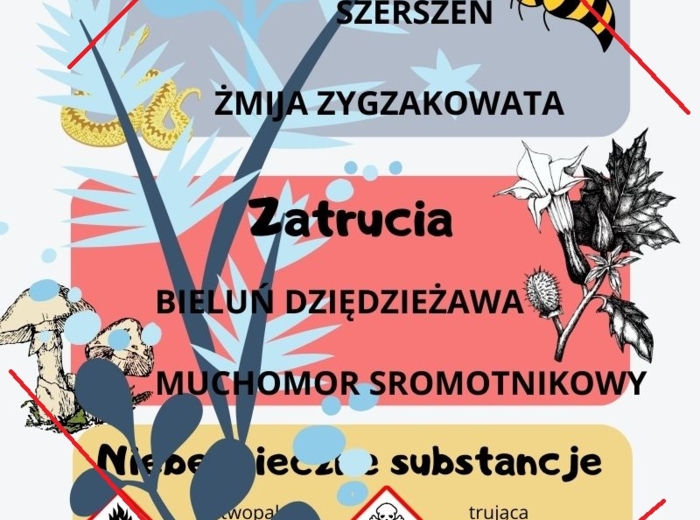 Jak postępować w niebezpiecznych sytuacjach? klasa 4 przyroda