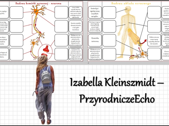 Notatka okienkowa „Budowa układu nerwowego”, „Budowa neuronu”, „Budowa i rola układu nerwowego” w pdf. Biologia 7 dział „Regulacja nerwowo - hormonalna”.