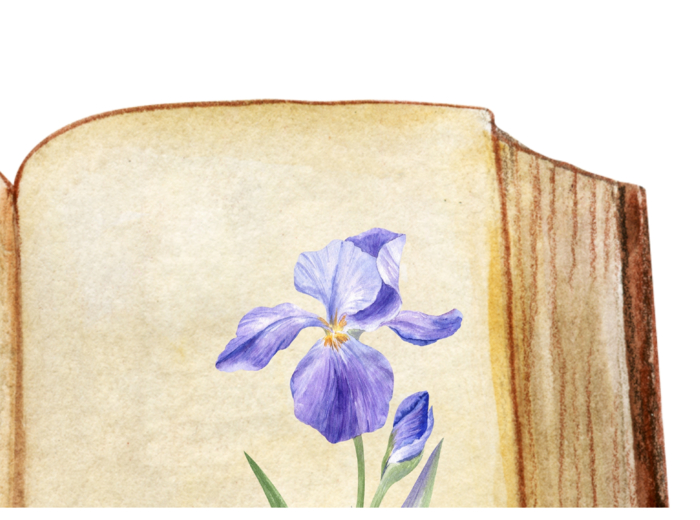 WITAJCIE W NOWYM ROKU SZKOLNYM - gazetka