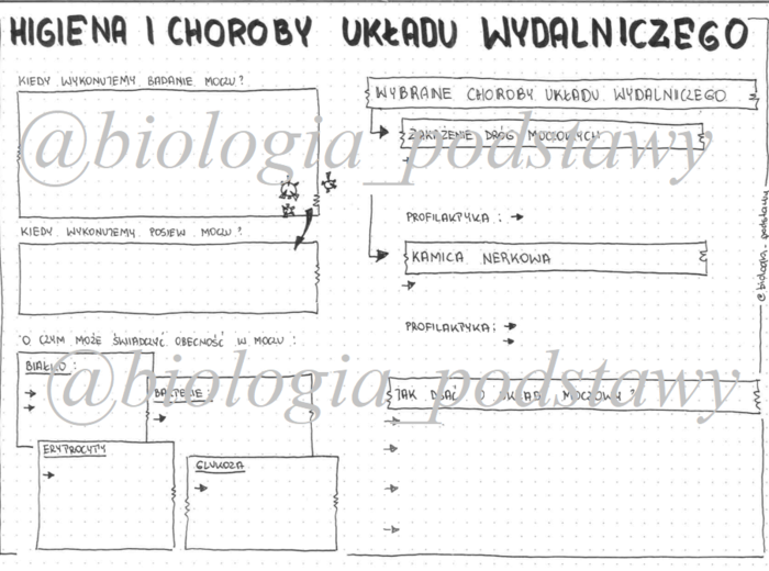 klasa 7 - Higiena i choroby układu wydalniczego - prezentacja
