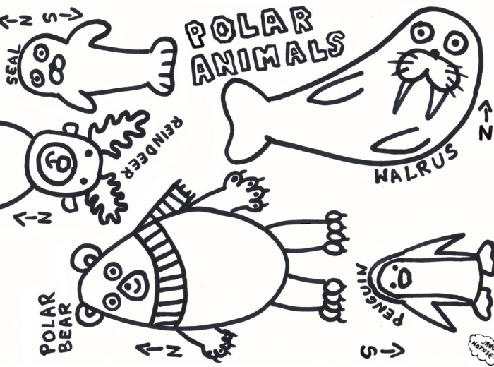 Polar animals