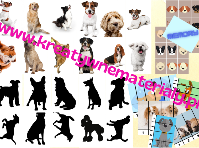 Dzień Kundelka / Dzień Psa