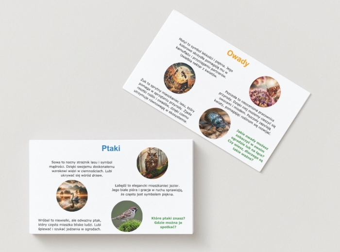 Kolorowe ilustracje zwierząt, roślin i grzybów