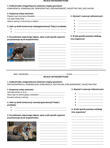 Zależności antagonistyczne - sprawdzian