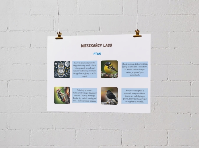 Plansze edukacyjne. Mieszkańcy lasu (ssaki, ptaki, inne zwierzęta, ciekawostki)