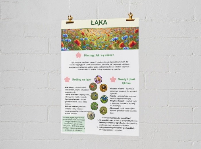 Plakaty o ekosystemach. Las, łąka, jezioro, morze, góry.