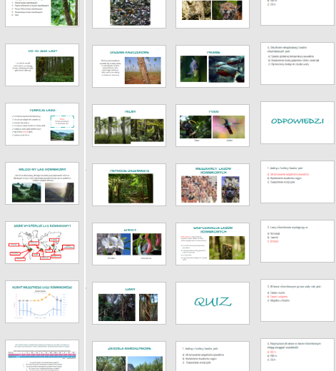 LAS RÓWNIKOWY - PREZENTACJA Z QUIZEM