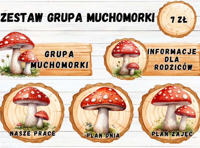 ZESTAW GRUPOWY GRUPA MUCHOMORKI