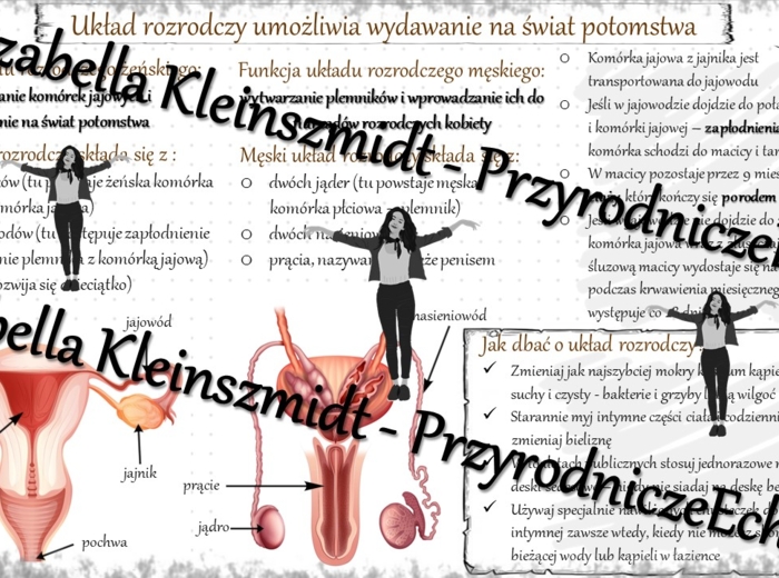 Sketchnotka „Układ rozrodczy umożliwia wydawanie na świat potomstwa ” w power point do edycji, PRZYRODA do klasy 4 – dział IV „Odkrywamy tajemnice ciała człowieka”