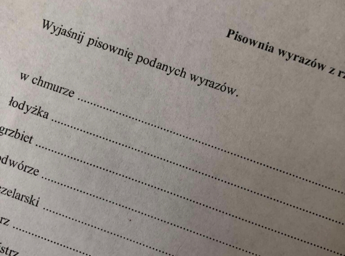Pisownia wyrazów z rz i ż. Sprawdzian/karta pracy