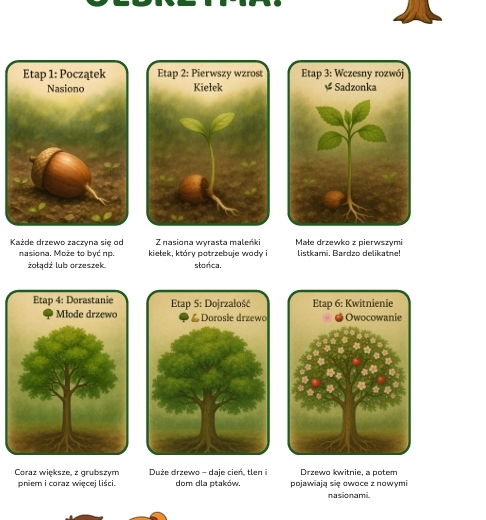 Ekologiczne plakaty edukacyjne. Chronione gatunki zwierząt/roślin, Obieg wody w przyrodzie, Segregacja śmieci, Cykl życia drzewa, Jak dbać o planetę