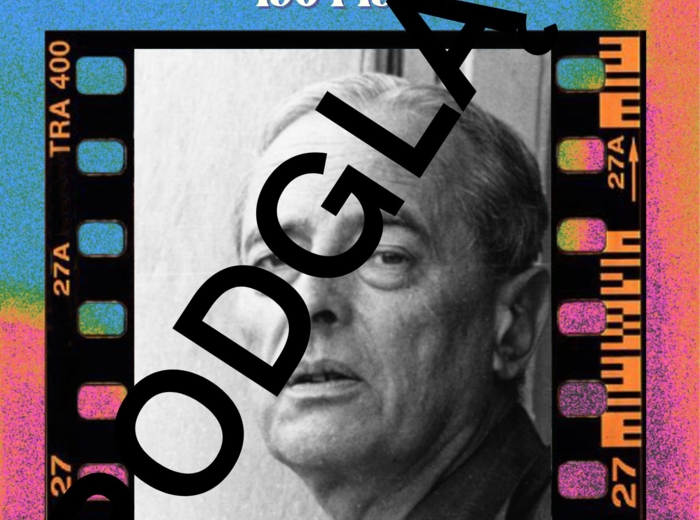 Polscy pisarze - gazetka