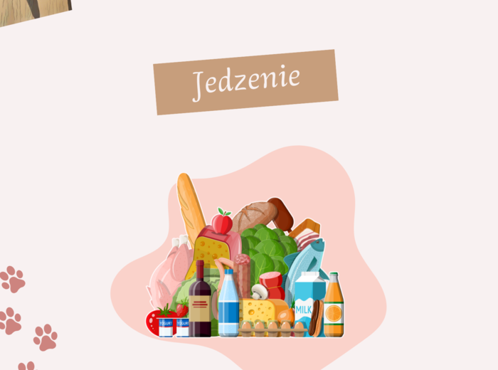 Powtórka z jedzenia - JPJO A0-A1