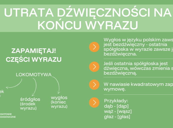 Wielka gramatyka egzaminacyjna - fonetyka, słowotwórstwo, wypowiedzenia, części mowy i zdania