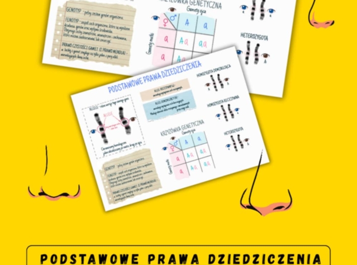 Podstawowe prawa dziedziczenia – sketchnotka – wklejka | Biologia | klasa 8