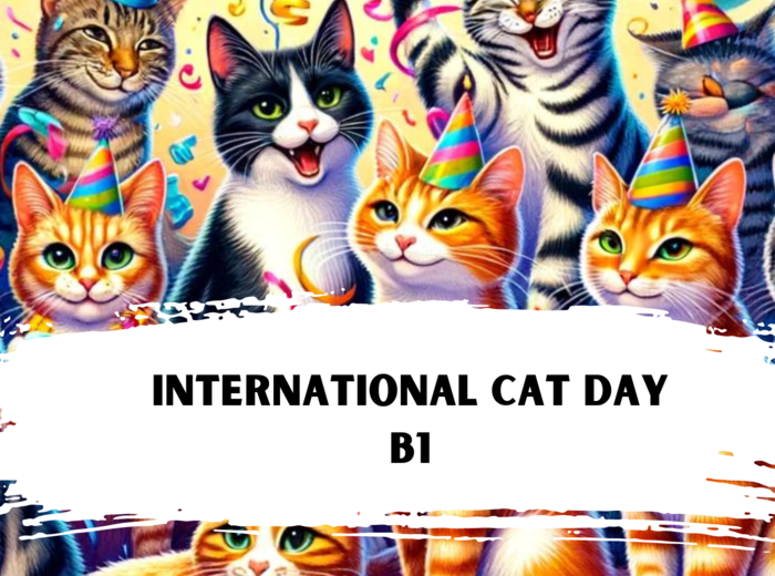 International Cat Day B1. Karty pracy_Gotowa lekcja
