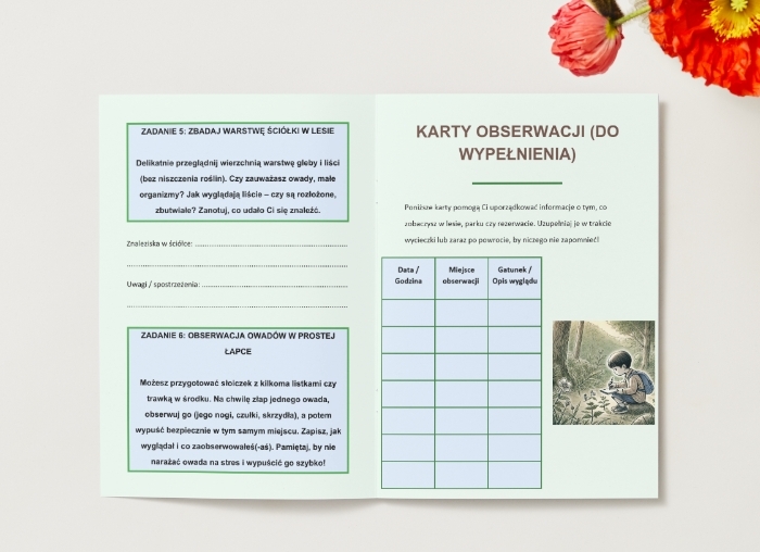 Wycieczki do lasu, parku narodowego, rezerwatu przyrody – obserwacja bioróżnorodności, notatki terenowe.