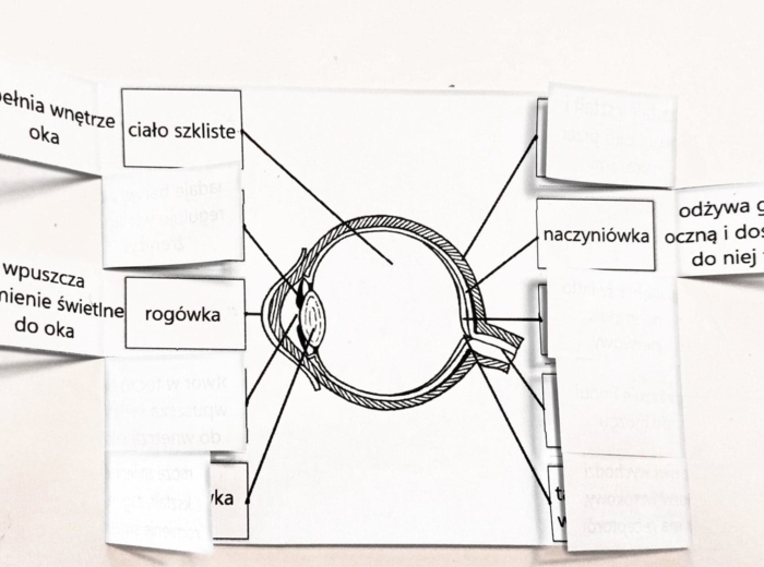 Oko - okienkowa notatka