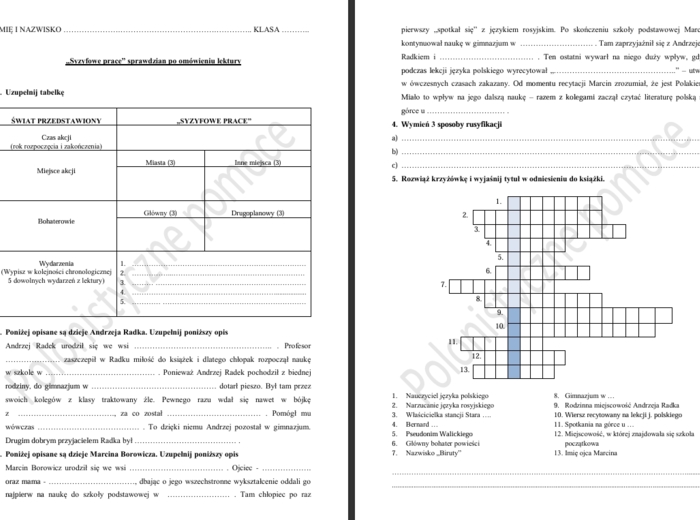 Sprawdzian po omówieniu lektury "Syzyfowe prace"