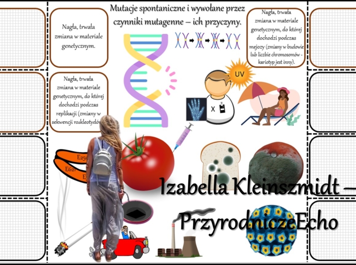 Notatka okienkowa/stacja zadaniowe/notatka/notatka graficzna/karta pracy/sketchnotka „Mutacje”, „Przyczyny chorób nowotworowych”, „Przyczyny mutacji”, „Krzyżówka genetyczna – mukowiscydoza” w pdf. Biologia 8 dział „Genetyka”. Materiał wykonany na podstaw