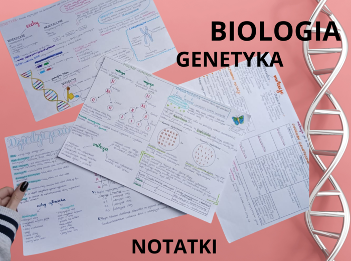 MEGA PAKA: Genetyka & Podziały Komórkowe – Notatki Wizualne: Mitoza, Mejoza, DNA, Krzyżówki genetyczne