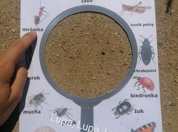 Wiosenne lupy i karty spaceru