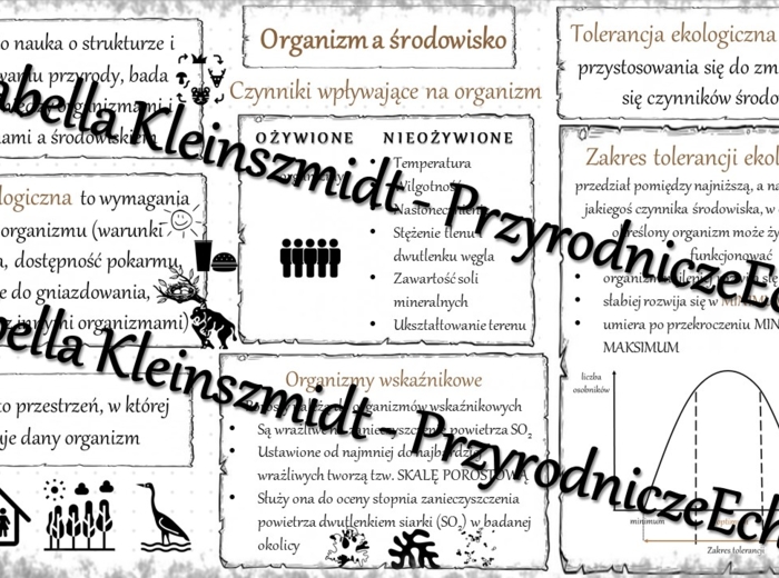 Sketchnotka - notatka „Organizm a środowisko” wykonana w power point do edycji. Biologia 8; „EKOLOGIA”